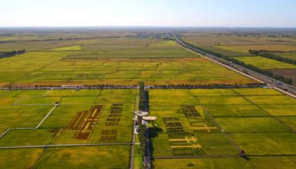 科技賦能 綠色崛起——扎賚特旗農(nóng)畜產(chǎn)品加工產(chǎn)業(yè)集群入圍自治區(qū)級名單